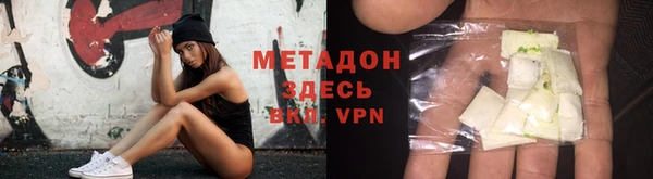 прущие грибы Аркадак