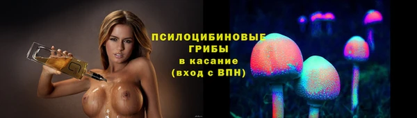 гидра Алексеевка