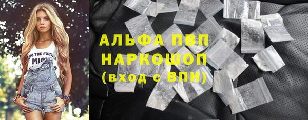 прущие грибы Аркадак