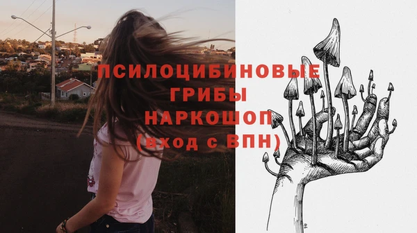 дмт Алзамай