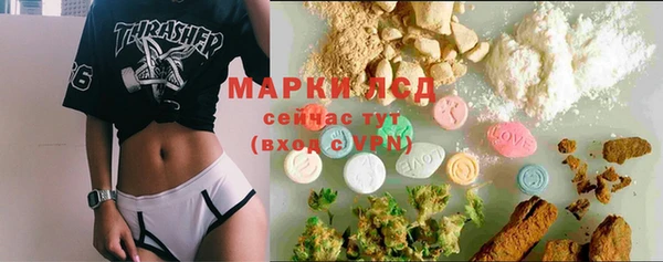 дмт Алзамай