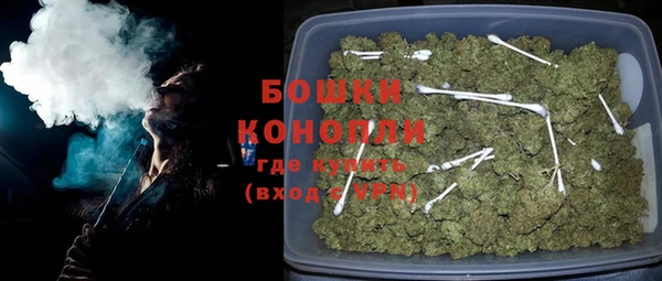 прущие грибы Аркадак