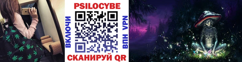 Галлюциногенные грибы прущие грибы  Тимашёвск 
